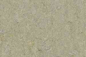 Линолеум Forbo Marmoleum Decibel on Order 580135 river bank фото  | FLOORDEALER